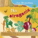 Na straganie