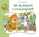 Jak się dzięcioł z sową pogodził