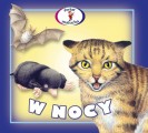 W nocy