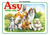 Asy różne rasy