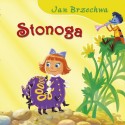 Stonoga